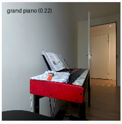 Image classification model with an overlay